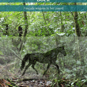 E-Book - Het Fascia Jungleboek (Nederlands)