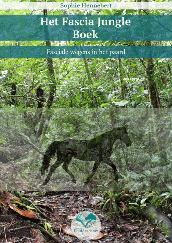 E-Book - Het Fascia Jungleboek (Nederlands)