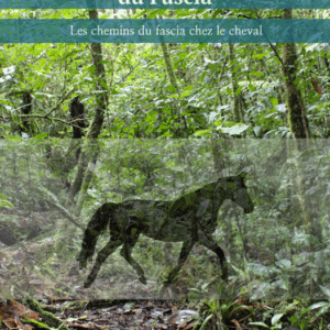 E-Book: Dans la Jungle du Fascia - Les chemins du fascia chez le cheval