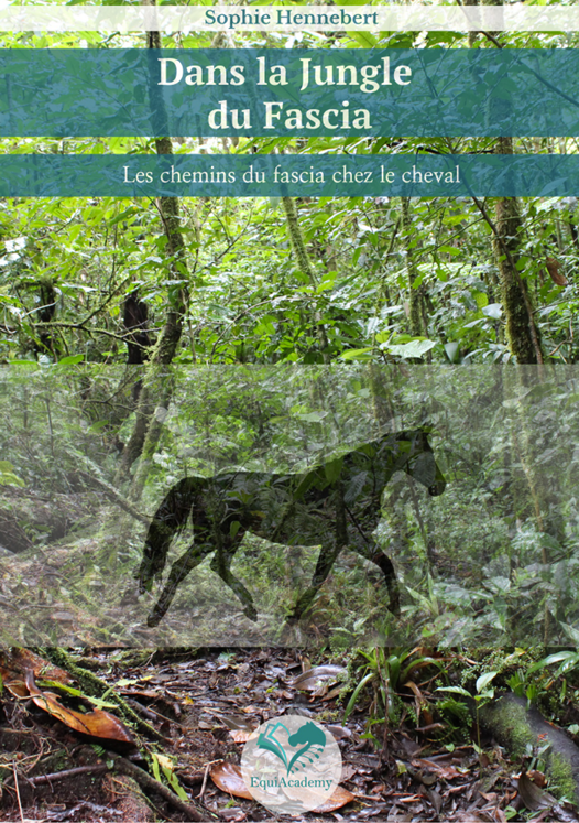 E-Book: Dans la Jungle du Fascia - Les chemins du fascia chez le cheval