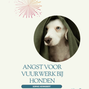 E-Book: Angst voor vuurwerk bij honden