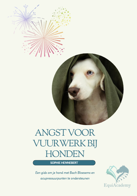 E-Book: Angst voor vuurwerk bij honden
