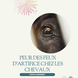 E-Book: Peur des feux d'artifice chez les chevaux