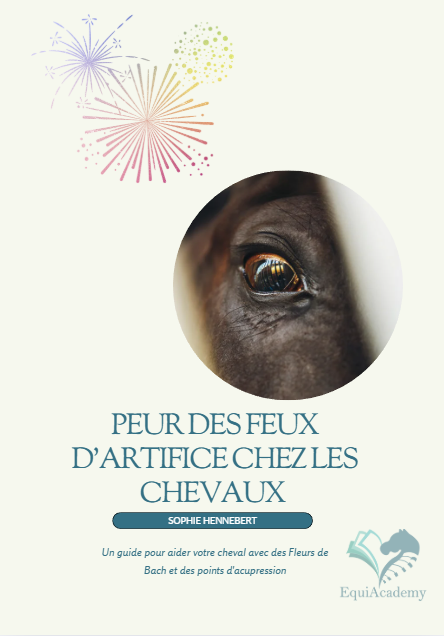 E-Book: Peur des feux d'artifice chez les chevaux