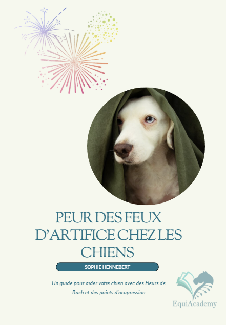 E-Book: Peur des feux d'artifice chez les chiens