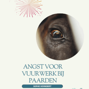 E-book : Angst voor vuurwerk bij paarden