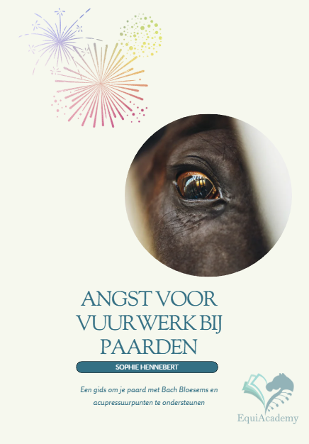 E-book : Angst voor vuurwerk bij paarden