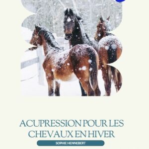 Acupression pour chevaux en hiver | Bien-être naturel et équilibre