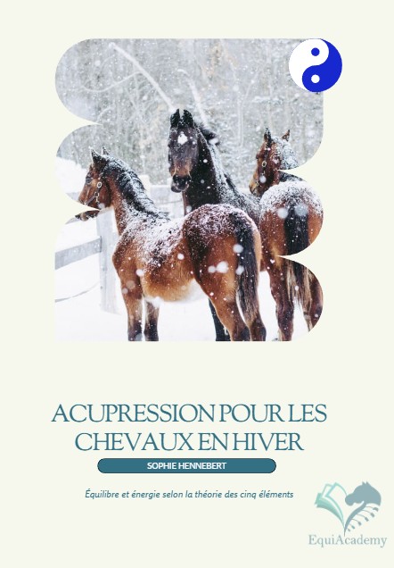 Acupression pour chevaux en hiver | Bien-être naturel et équilibre