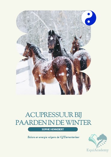 Acupressuur voor paarden in de winter | Natuurlijk welzijn en balans