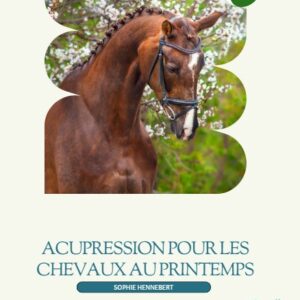 Acupression pour chevaux au printemps | Croissance et vitalité