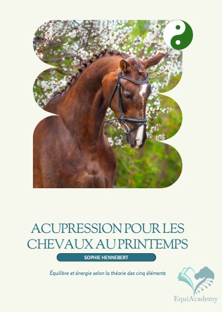 Acupression pour chevaux au printemps | Croissance et vitalité