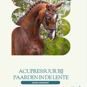 Acupressuur voor paarden in de lente | Groei en vitaliteit