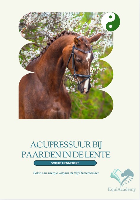 Acupressuur voor paarden in de lente | Groei en vitaliteit