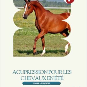 Acupression pour chevaux en été | Repos et équilibre pendant les mois chauds