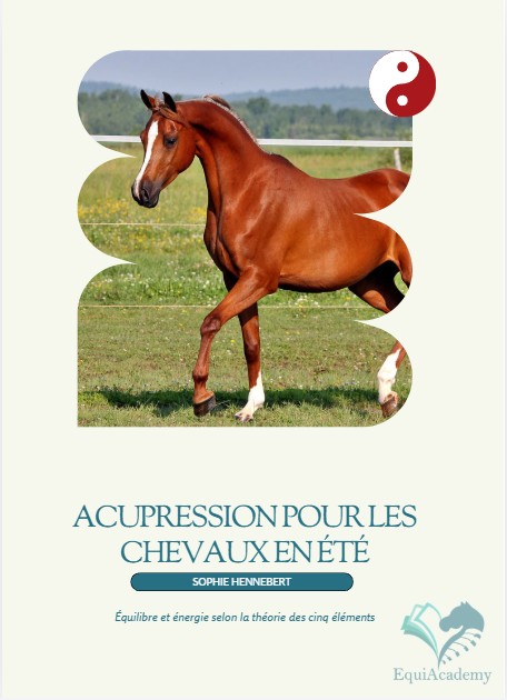 Acupression pour chevaux en été | Repos et équilibre pendant les mois chauds
