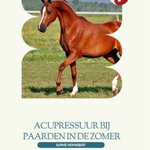 Acupressuur voor paarden in de zomer | Rust en Balans in warme maanden